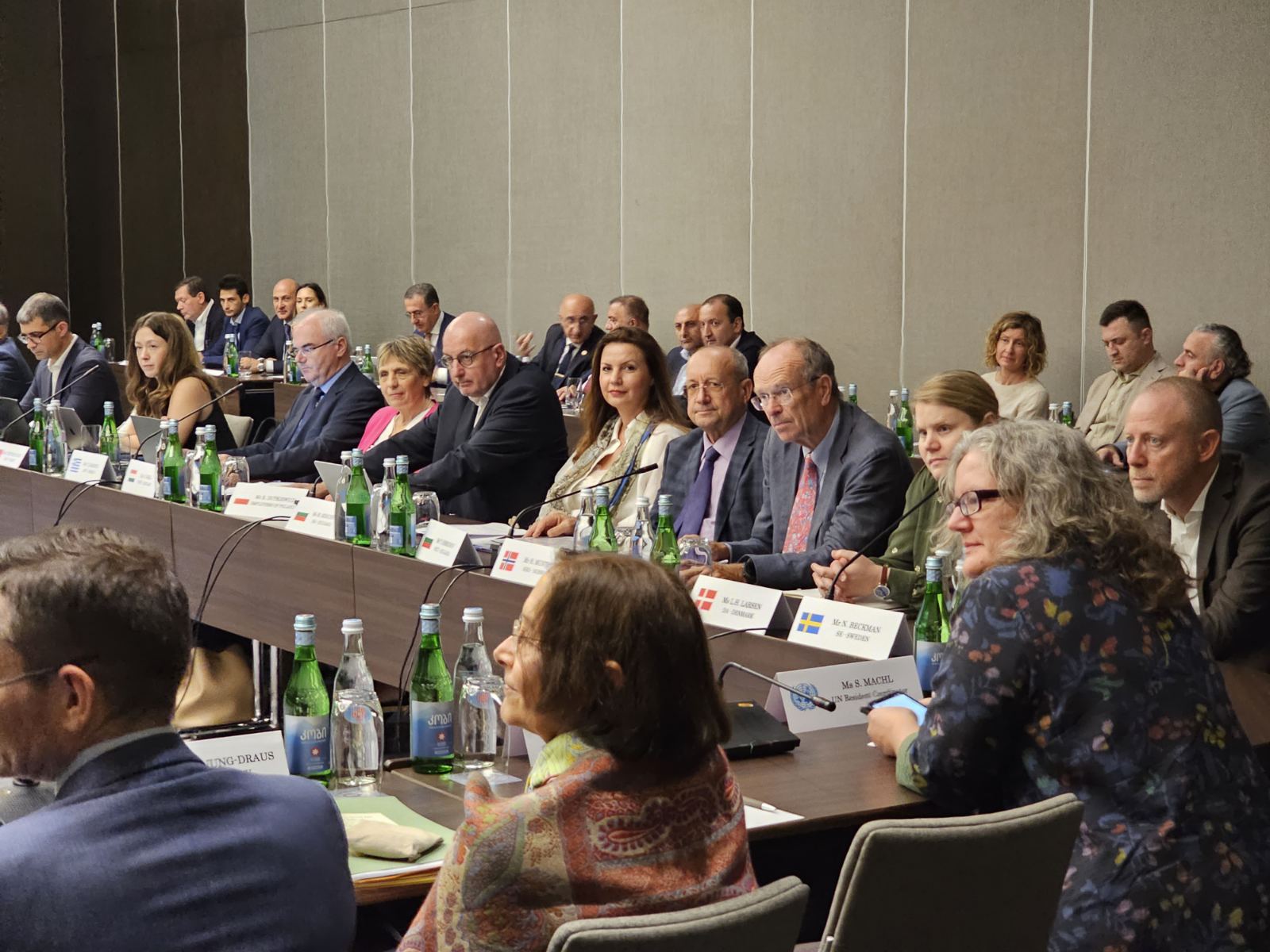 Зам.-председателят на БСК Мария Минчева участва в среща на МОР в Грузия